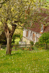 Paysage Campagne 194