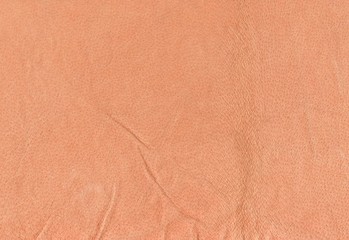 Leather background