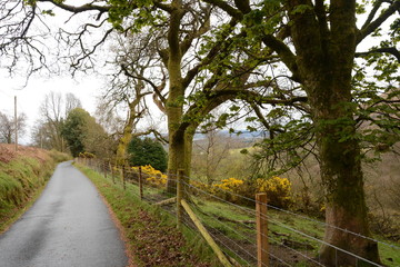 Fototapeta premium View of Scottish Highlands.