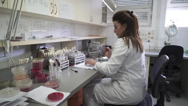 Caucasian female laboratory technician in white uniform sits at the desk with microbiology glassware and performs bacteriological analysis, steady cam shot, pan left, room interior