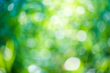 Green bokeh natural background