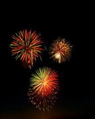 Fototapeta premium Fireworks in the sky