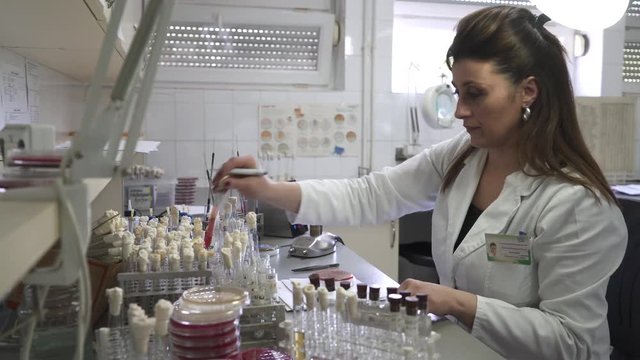 Portrait of caucasian female laboratory technician in white coat while sits at the table with microbiology glassware and performs bacteriological analysis, steady cam shot, pan left, room interior