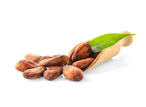 Aromatic Cocoa Beans On White Background