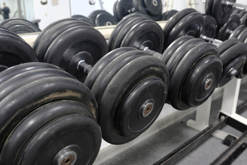 barbells on a stand