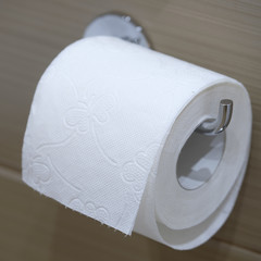 Roll of a toilet paper