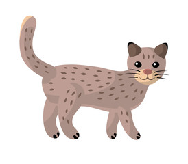 Cat walking isolated.