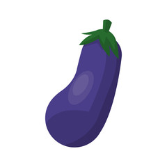 eggplant vegetable icon over white background. colorful design. vector illustration