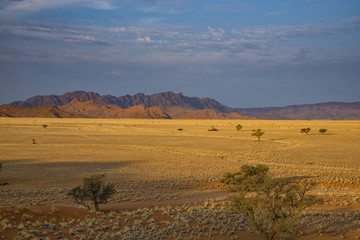 Deserto namibiano