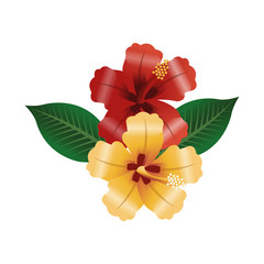 tropical flower icon over white background. colorful design. vector illustration