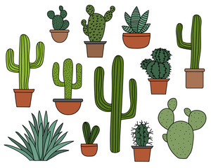 Cactus vector set, hand drawn collection of various succulents and cacti