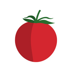 tomato vegetable icon over white background. colorful design. vector illustration