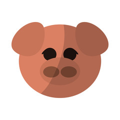 pig animal cartoon icon over white background. colorful design. vector illustration