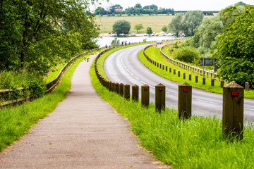 Summer park road next to swan lake