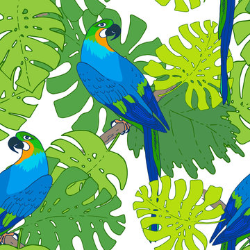 Vector macaw parrot seamless pattern. Animal in the wild hand drawn sketch with beautiful colorful exotic bird sitting on branch with tropical plants and trees leaves
