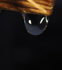 Water drop is falling down from wood with lights at the black macro