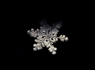 Snowflake crystal transparen standing  at the dark isolated at black