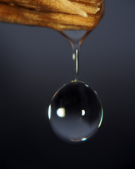 Water drop is falling down from wood macro