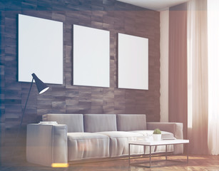 Dark wood walls living room, side, toned