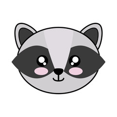 kawaii raccoon animal icon over white background. colorful design. vector illustration