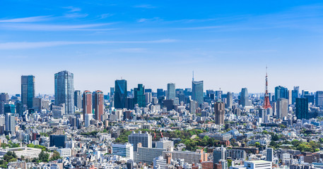 Fototapeta na wymiar 東京タワーと都市風景