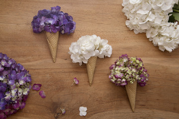 Icecream flowers 2