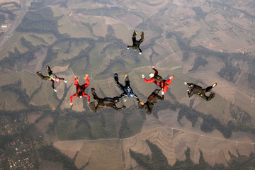 8 way skydive