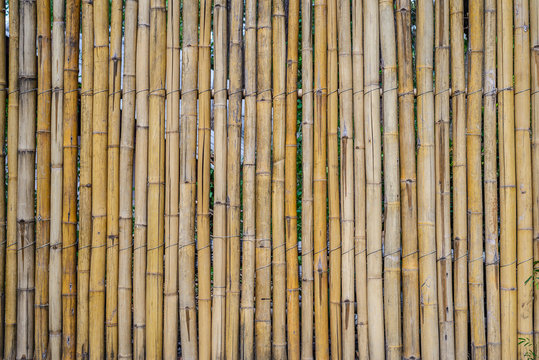 bamboo wall texture background