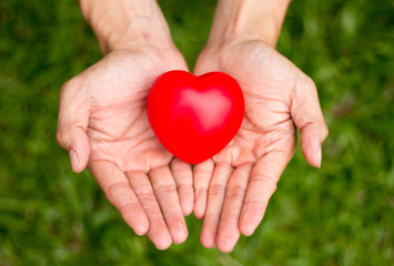 Fototapeta na wymiar holding a red heart in hand