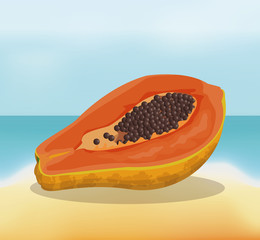 papaya fruit fresh harvest - beach background vector illustration eps 10