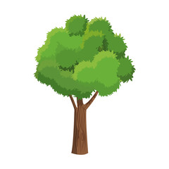 tree plant natural foliage ecology vector illustration eps 10