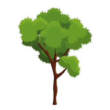 tree plant natural ecology forest vector illustration eps 10