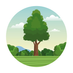 tree wood forest landscape stamp vector illustration eps 10