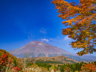 Fototapeta premium 富士山の秋