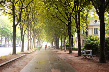 Obraz premium Park in Paris, France