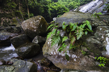 beautiful in nature Gabai Waterfall located in Malaysia, amazing cascading tropical waterfall. wet and mossy rock, surrounded by green rain forest