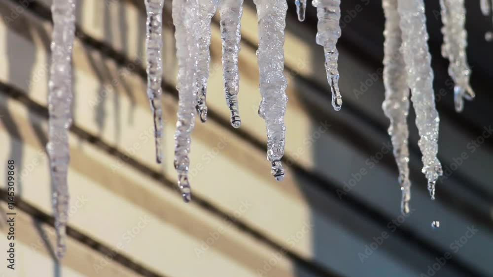 Wall mural Melting Icicles