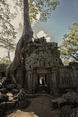 Angkor Wat complex, Ancient Khmer architecture and Ta Prohm temple with giant banyan tree., Siem Reap, Cambodia travel destinations