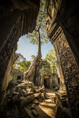 Fototapeta premium Angkor Wat complex, Ancient Khmer architecture and Ta Prohm temple with giant banyan tree., Siem Reap, Cambodia travel destinations