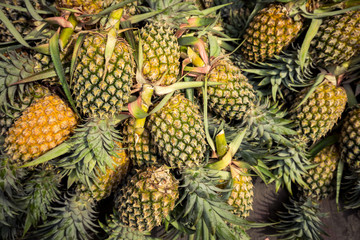 pineapple in night market in Bangkok ( Thailand , Asia )