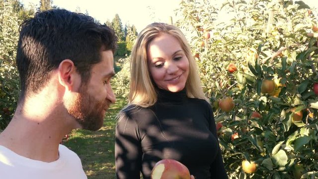 Man eating apple in apple orchard 
