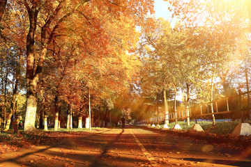 Fototapeta na wymiar Sunny weather in autumn park