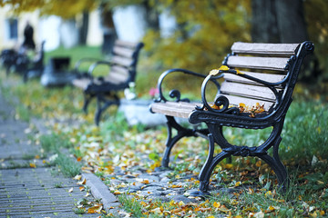 Fototapeta na wymiar Benches in the autumn park
