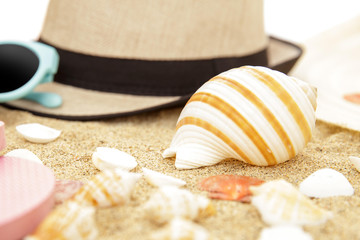 hat and seashells on the sand