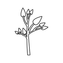 monochrome silhouette of small tree with leafs vector illustration