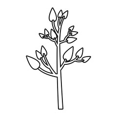 monochrome silhouette of tree with leafs vector illustration