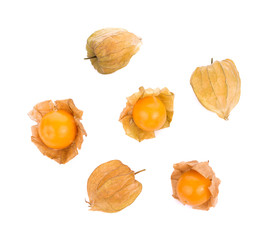 cape gooseberry on white background. physalis
