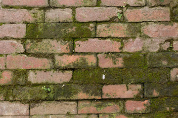 Mossy Brick Texture