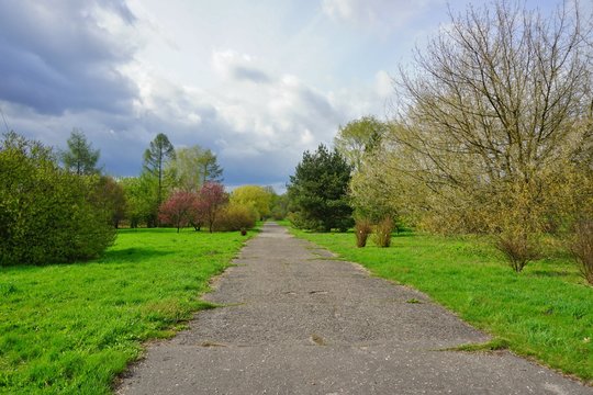 Beautiful green areas of the city - spring day , before the storm


