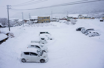 Snow covered the city until the city became white.